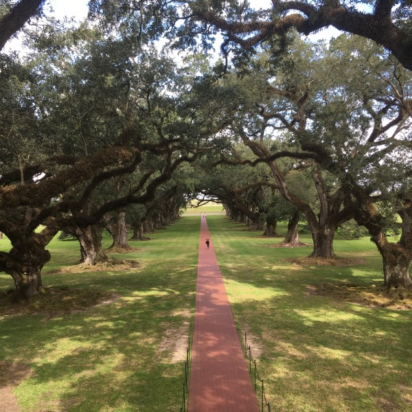 A view of the Oak Alley walkway