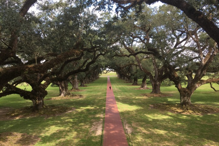 A view of the Oak Alley walkway