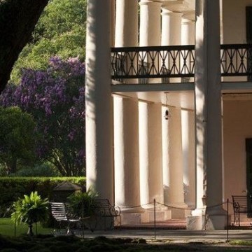 Oak Alley Antebellum Plantation