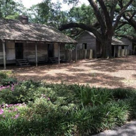 Slave cabins on a plantation
