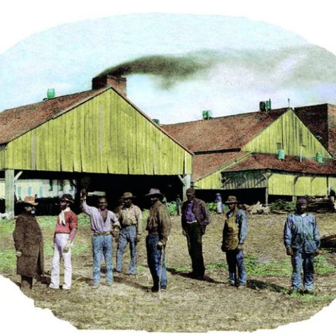 Slaves working on a planatation