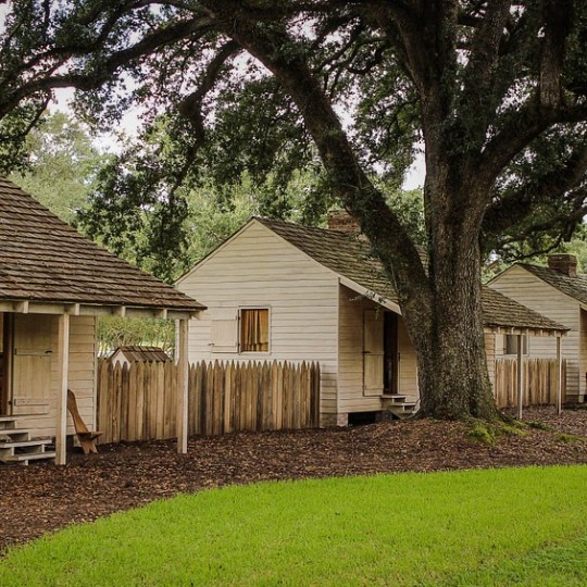 Slave cabins on a plantation