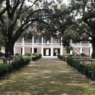 a large tree in a park