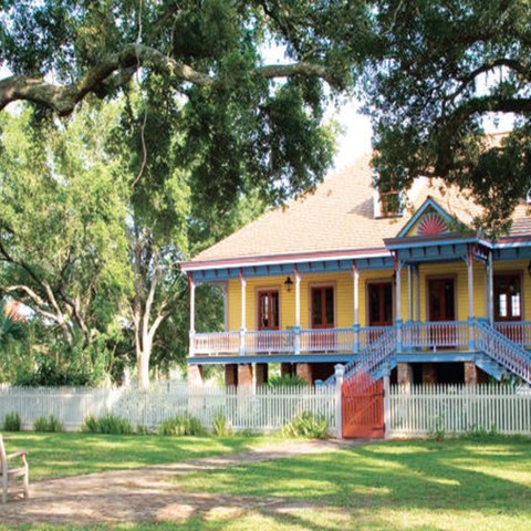 a tree in front of a house
