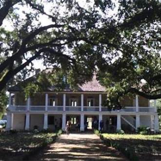 a tree in front of a house with Melrose Plantation in the background