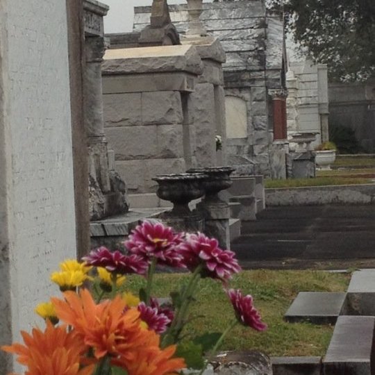a vase of flowers sitting on top of a building