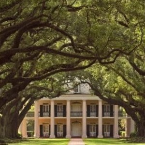 a large tree in front of a house