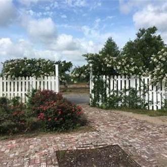 a tree in front of a building