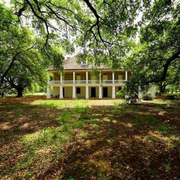 a large tree in a park